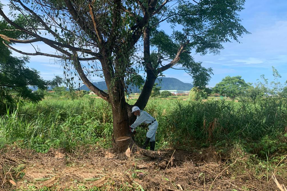 株式会社協和土建｜私たちは地域の自然と暮らしを守る「河川維持工事」「林道工事」「砂防工事」を中心に展開する土木会社です